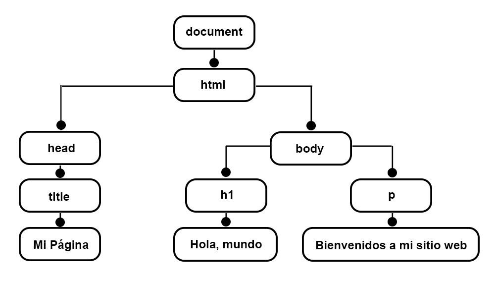 HTML DOM representación